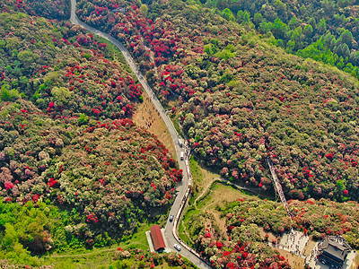 贵州山路贵州毕节百里杜鹃风景区航拍背景