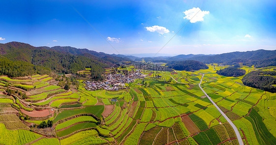 云南玉溪峨山油菜花田航拍图片