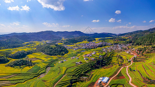 云南玉溪峨山油菜花田航拍图片