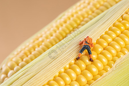 创意微观小人攀爬玉米图片