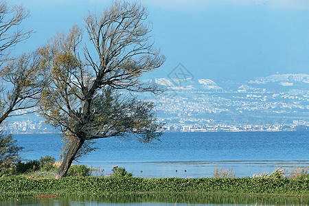 云南大理洱海风景云南大理洱海背景