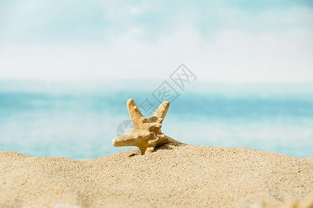 夏日沙滩背景图片