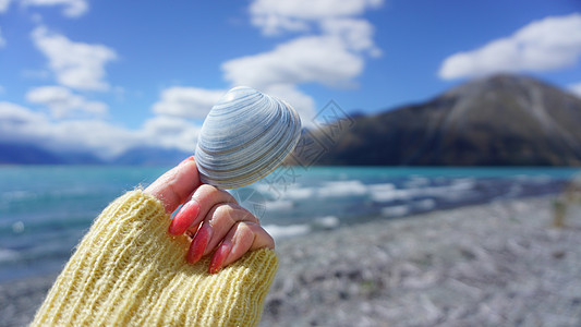 海边特写湖边贝壳静物特写背景