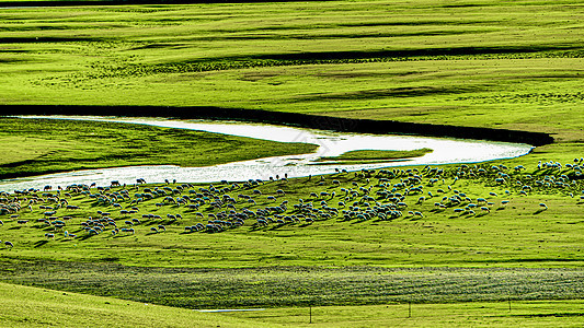 呼伦贝尔大草原莫日格勒河九曲十八弯背景图片
