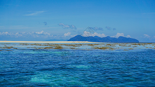 马来西亚潜水马来西亚仙本那海岛背景
