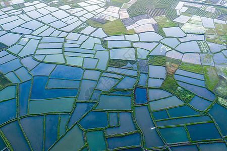 全景玻璃航拍水稻田背景