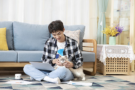 坐在地毯上办公的男孩和猫背景图片