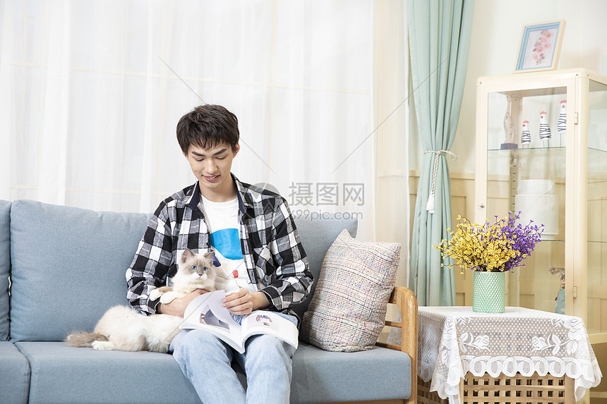 在客厅抱着宠物猫看书的青年男性图片