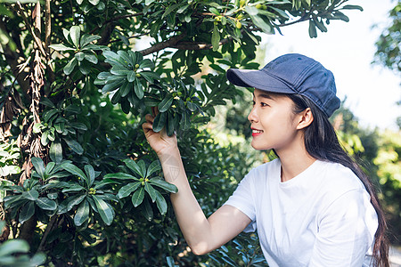 春游踏青美女背景图片