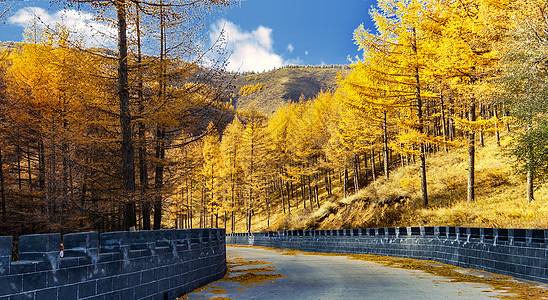 内蒙古苏木山国家公园秋色图片