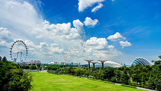 新加坡的人工大树公园背景图片