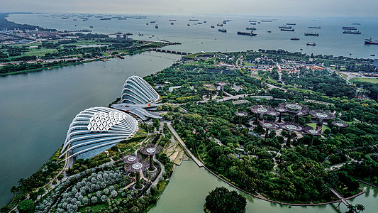 渔船出海航拍新加坡空中花园人工树公园背景