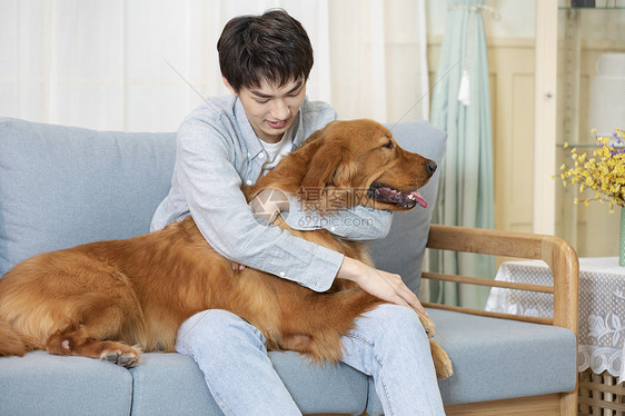 与金毛犬相伴的居家男孩图片