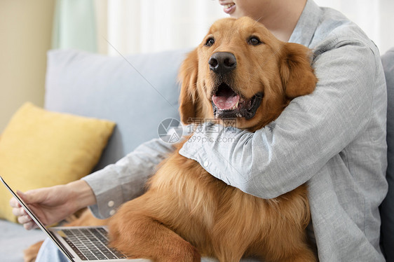 抱着金毛犬办公的居家男孩图片