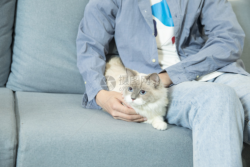 抱着宠物猫的居家男孩图片