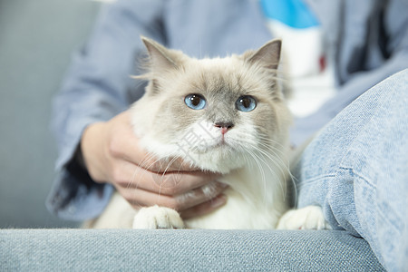 抱着宠物猫的居家男孩图片