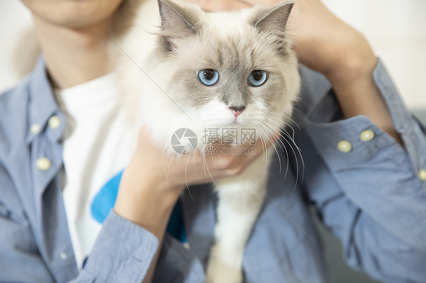 抱着宠物猫的居家男孩图片