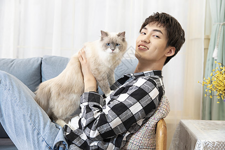 户外阳光猫图片