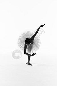 年轻美女芭蕾舞黑白剪影图片