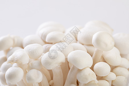 美白菇图片