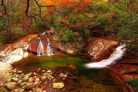 秋膘四川成都光雾山网红景区红叶节背景