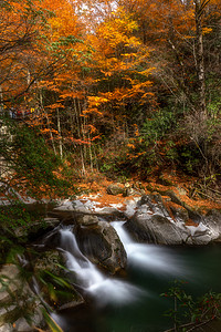 光雾山网红景区红叶节流水图片