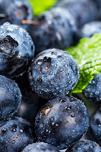 新鲜蓝莓好吃的水果图片