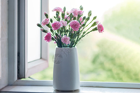 窗台上的康乃馨高清图片