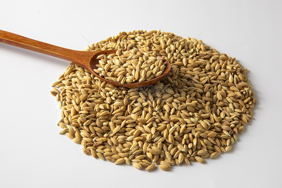 先正达集团携多款立异技能露脸第八届进博会