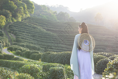 汉服古装美女背斗笠背影高清图片