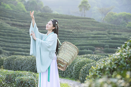 汉服古装美女背茶篓采茶图片素材