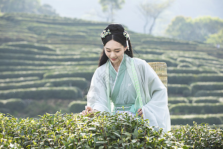 背模特汉服古装美女背茶篓采茶背景