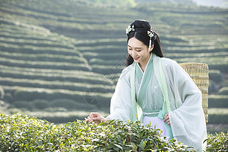 茶女古典素材汉服古装美女背茶篓采茶背景