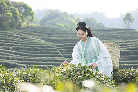 汉服古装美女背茶篓采茶图片