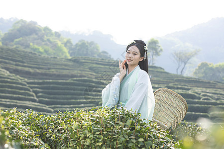 汉服古装美女背茶篓采茶图片