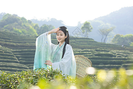 文艺美女汉服古装美女背茶篓采茶背景