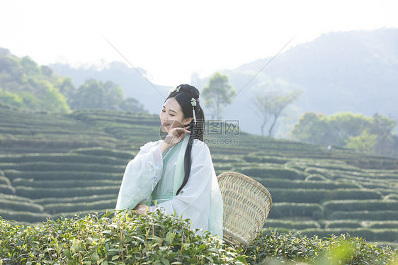 汉服古装美女背茶篓采茶图片