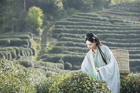 背 女汉服古装美女背茶篓采茶背景