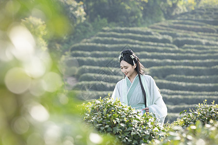 汉服古装美女背茶篓采茶图片