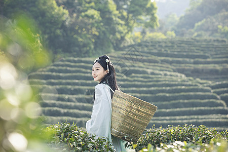 汉服古装美女背茶篓采茶图片