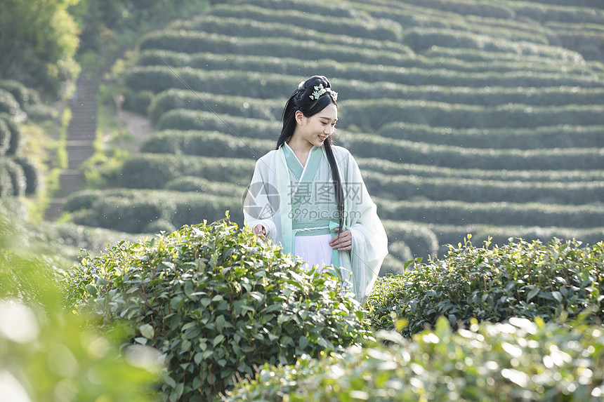 汉服古装美女背茶篓采茶图片