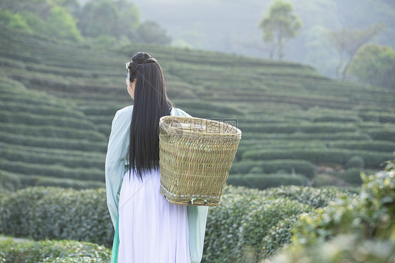 汉服古装美女背茶篓采茶图片