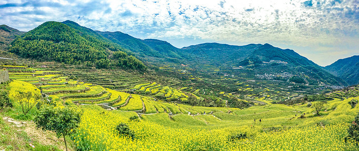 覆卮山油菜花梯田全景图片