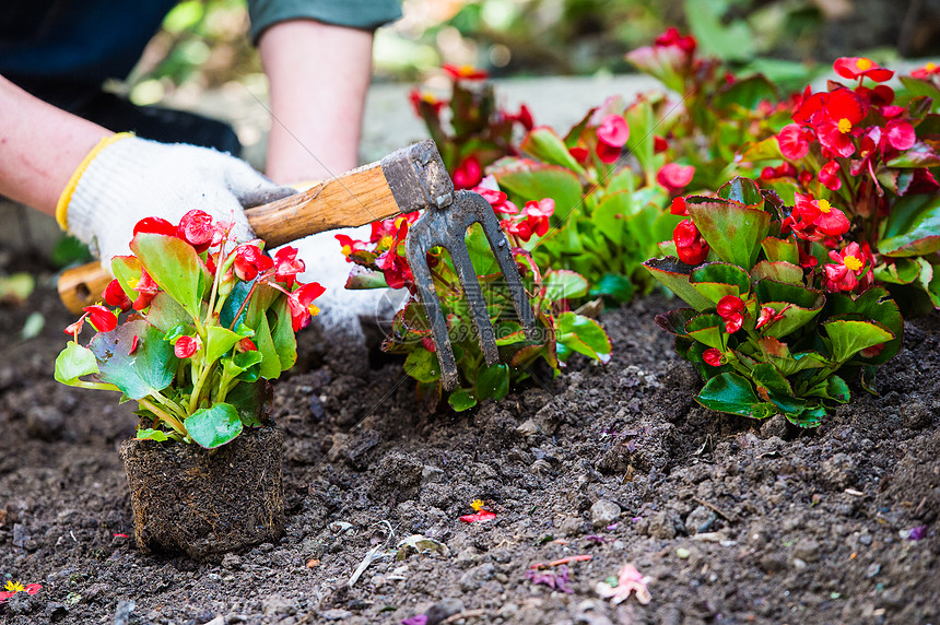 园艺专业的专业课