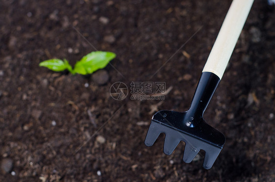 植物种植园艺松土图片