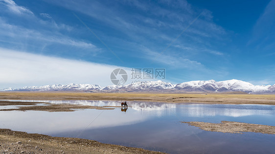 新疆天鹅湖自然保护区图片