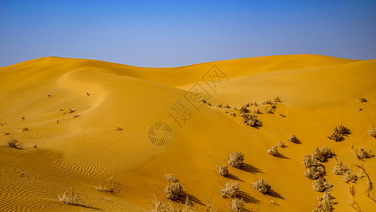 内蒙古库布其沙漠背景图线条背景图片