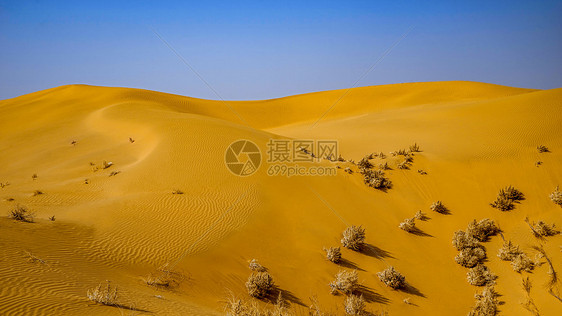 内蒙古库布其沙漠背景图线条图片