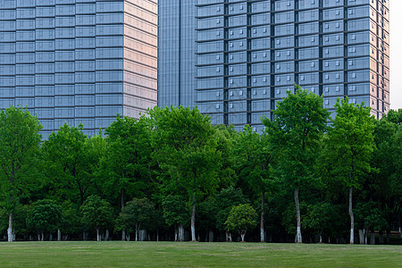城市中央公园晨曦中的现代建筑图片