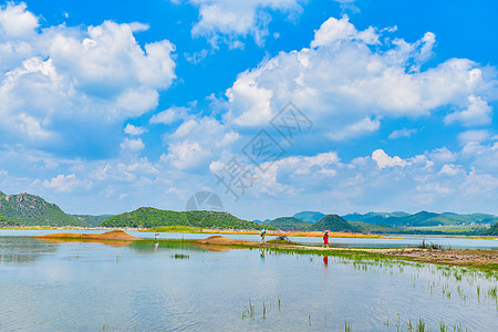 自然风光美景云南曲靖海峰湿地自然风光背景